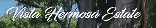 Casos prácticos de SEO para viajes 13 travel case studay site logo 1